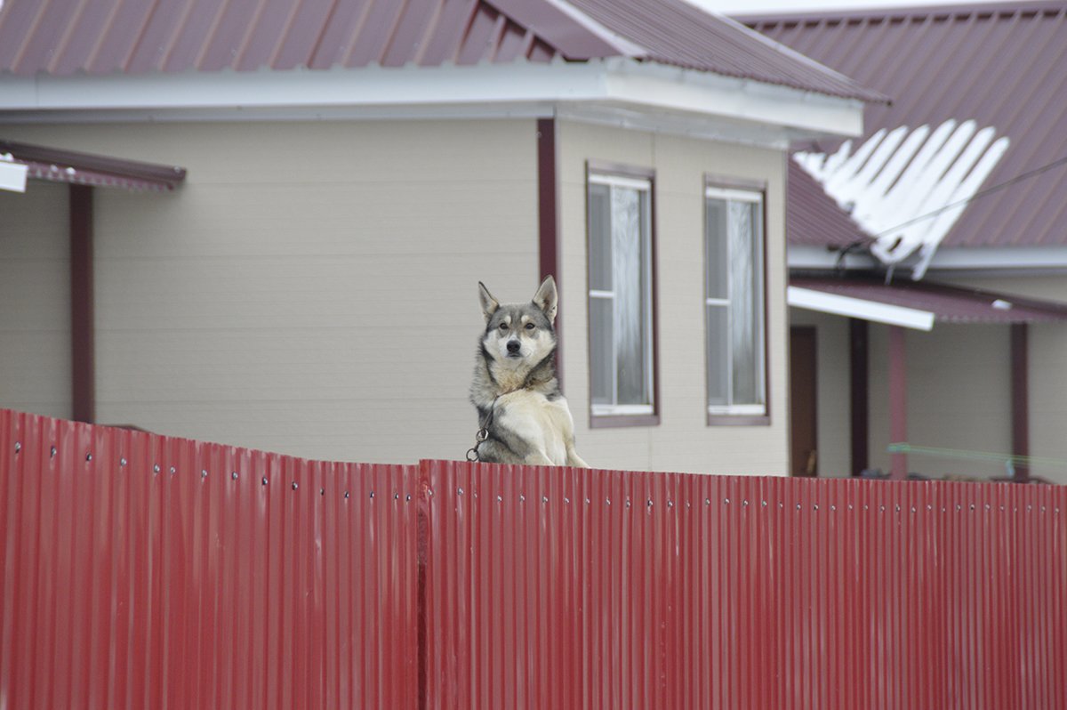 Фото: Андрей Анохин