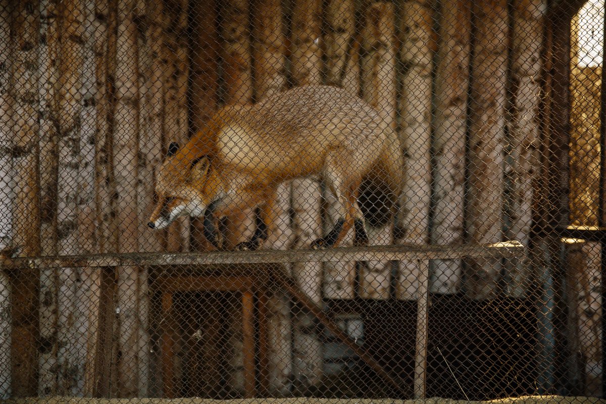 Фото: Сергей Лазовский