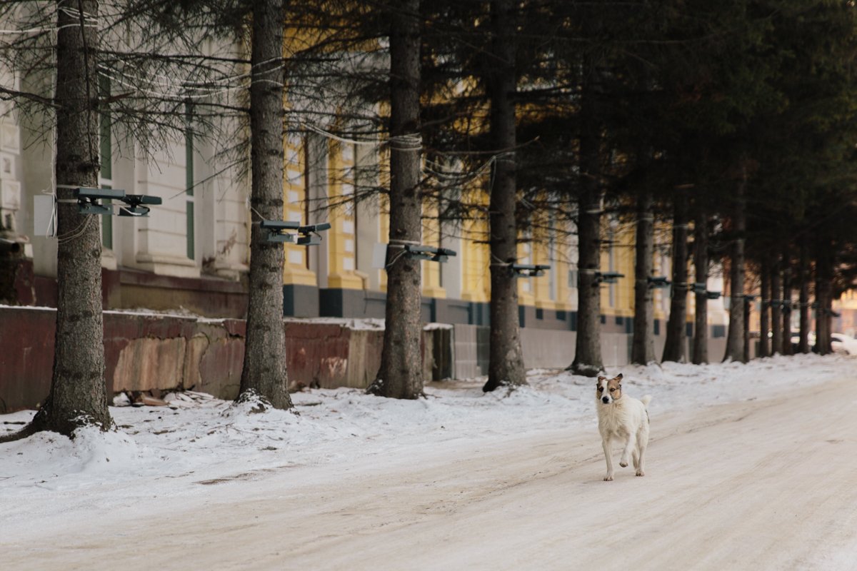 Фото: Сергей Лазовский