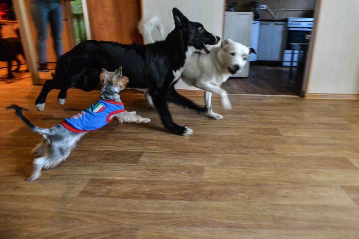 Фото: Андрей Ильинский