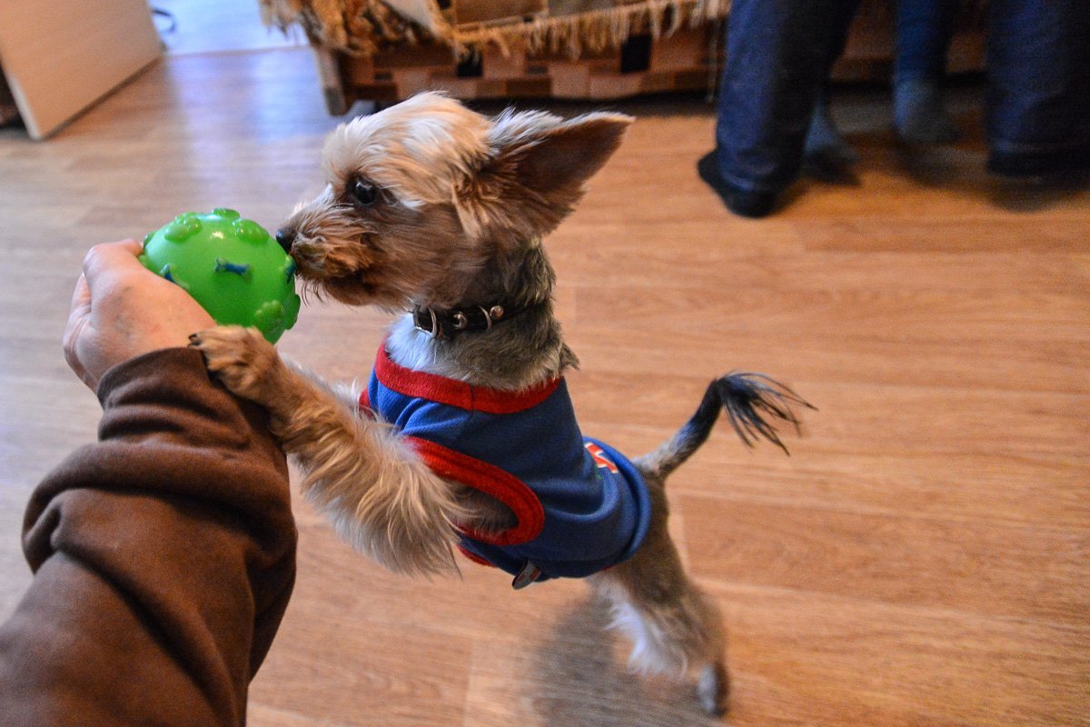 Фото: Андрей Ильинский