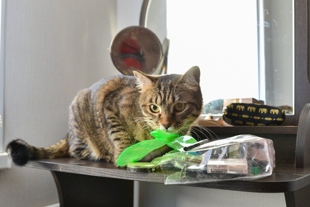 Фото: Андрей Ильинский