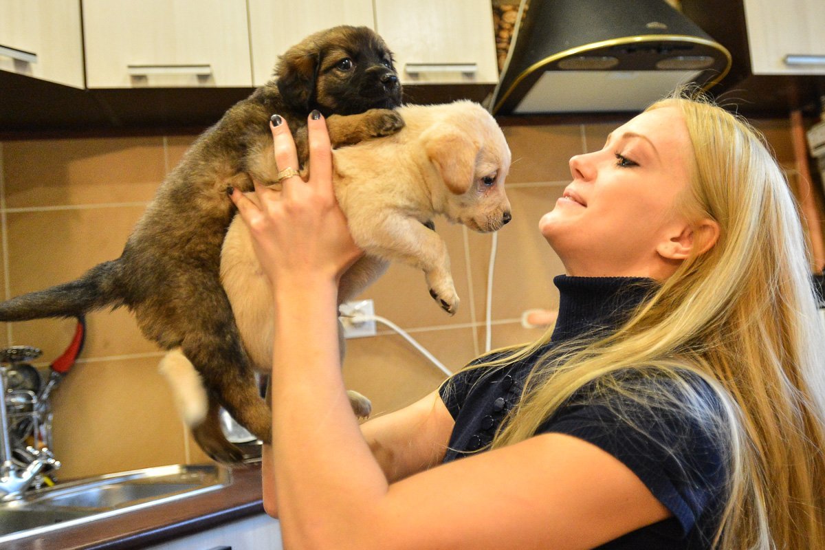 Фото: Андрей Ильинский