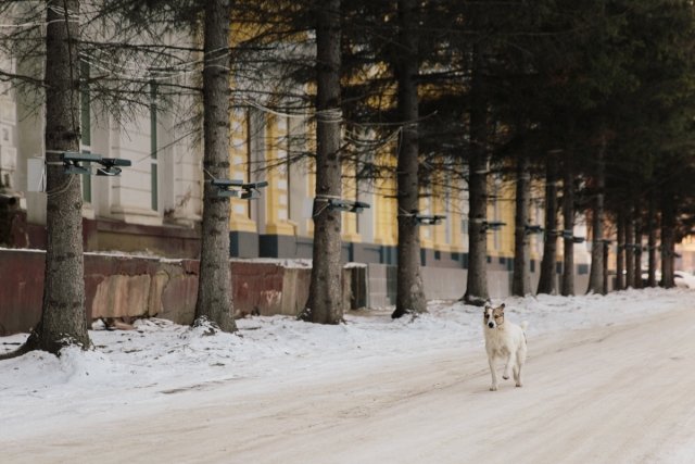 Фото: Архив АП