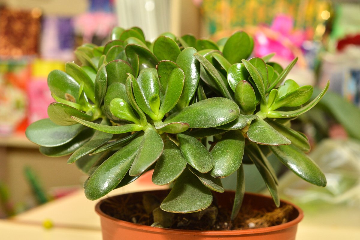 Фото: Андрей Ильинский