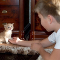 @sapalova: Ребенок твердо решил научить кота давать лапу!