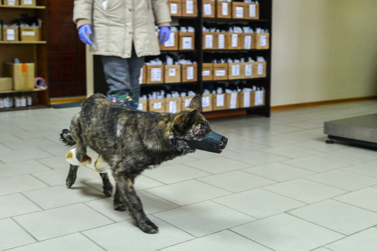 Фото: Андрей Ильинский