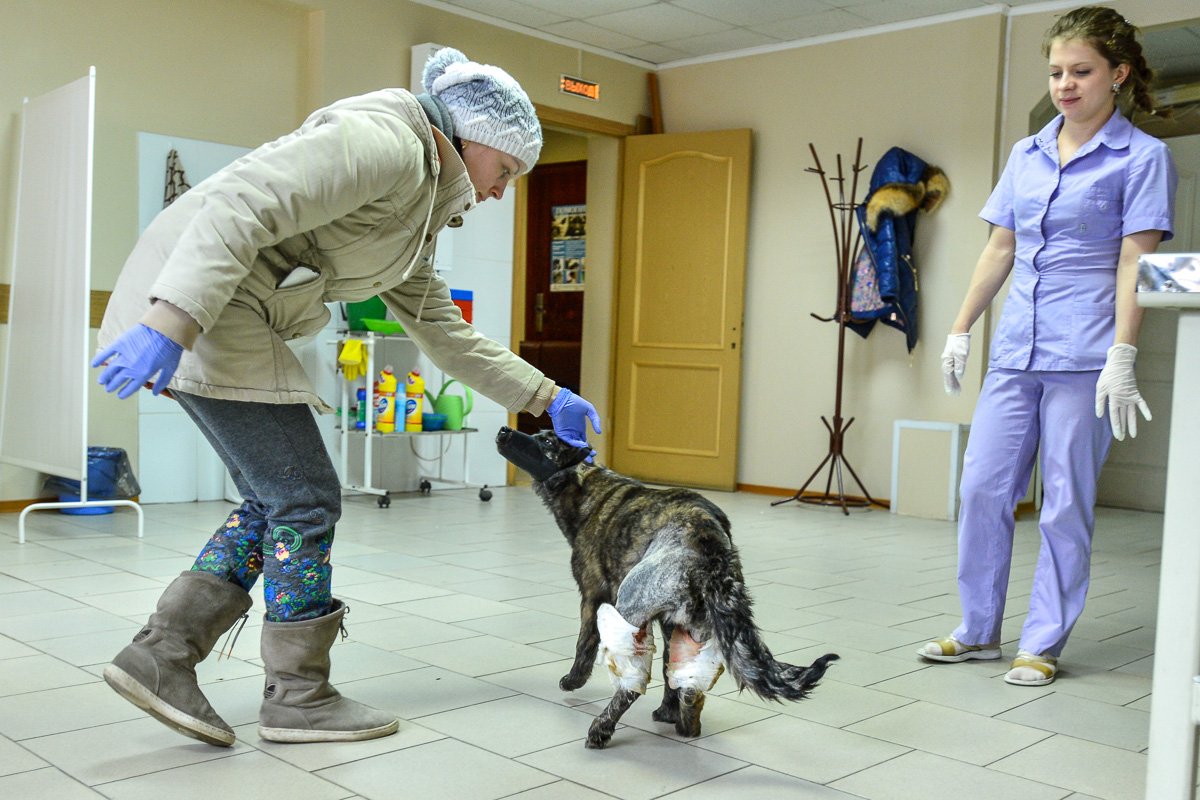 Фото: Андрей Ильинский