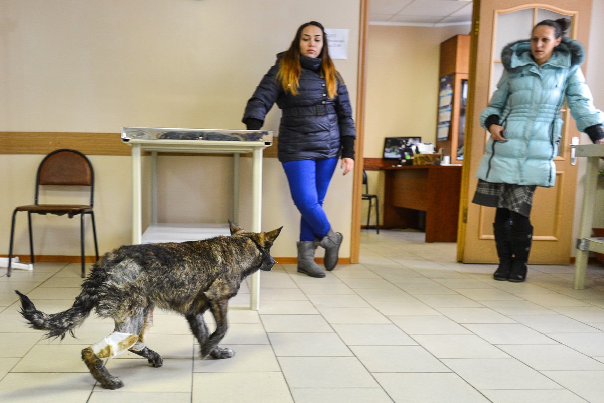 Фото: Андрей Ильинский