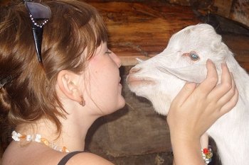 Читатели АП целуют, кормят и укладывают козу спать (12 фото)