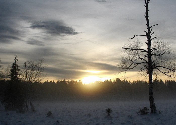 Фото: professional-expeditions.com