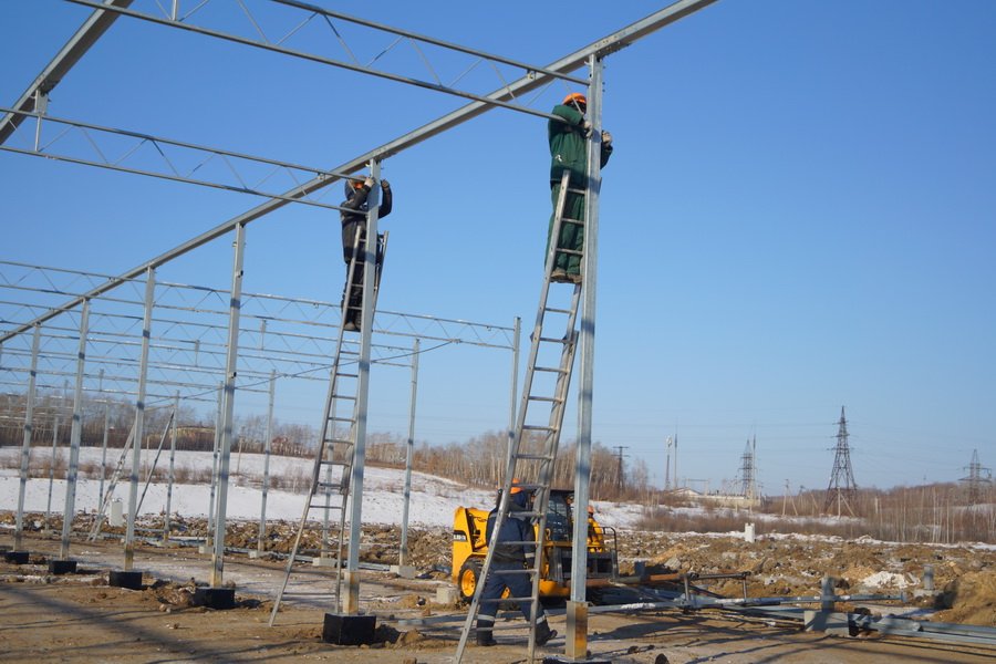 Фото: agroamur.ru