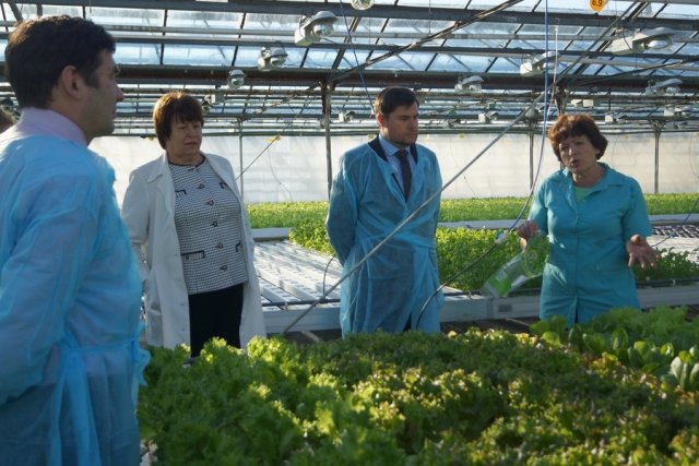 Прогноз на урожай овощей в 2018 году Прогноз на урожай овощей в 2018 году
