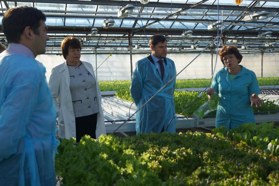 Фото: agroamur.ru