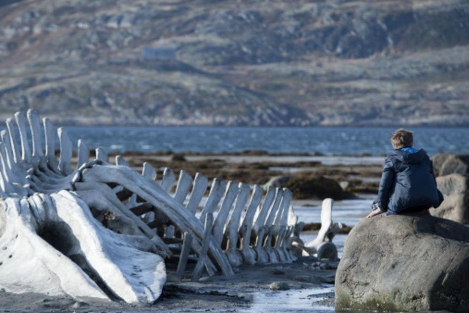 Фото: kinopoisk.ru