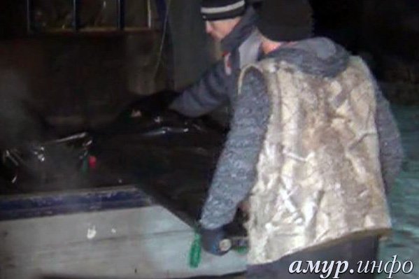 Фото: ИА «Амур.инфо»