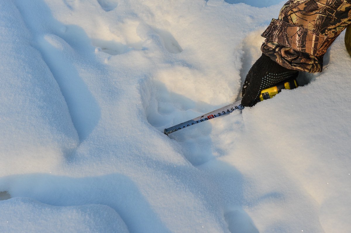 Фото: Андрей Ильинский
