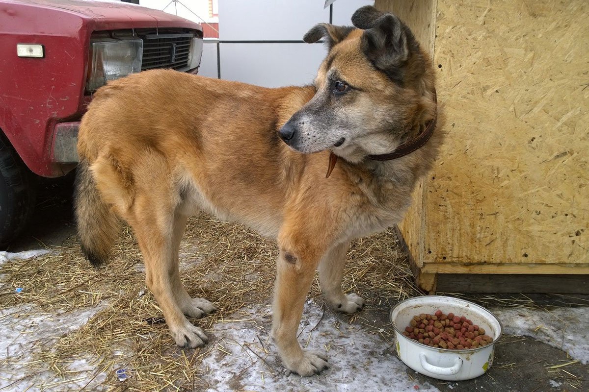 Туман сегодня. Фото Галины Алексеевой