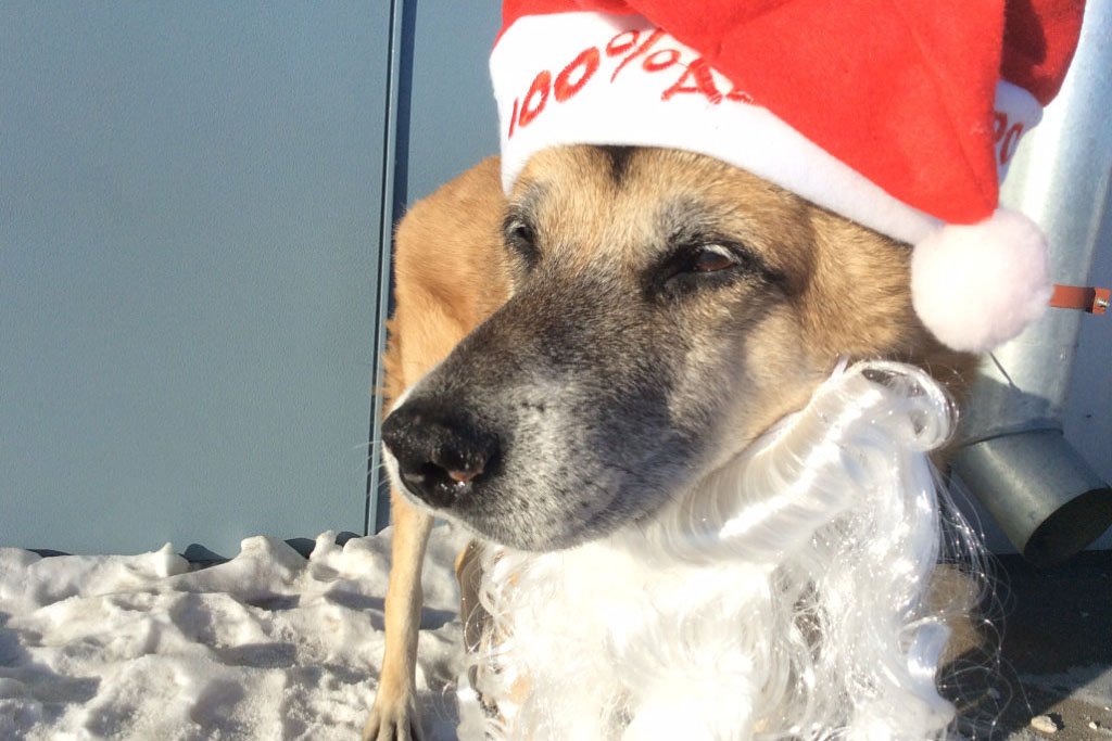 Туман сегодня. Фото Галины Алексеевой