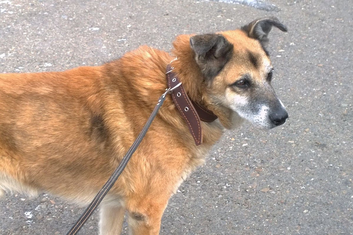 Туман сегодня. Фото Галины Алексеевой