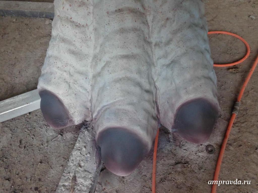 Фото: darwinmuseum.ru