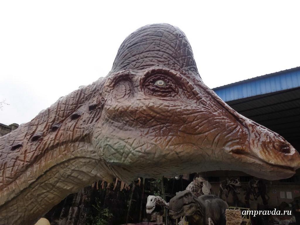 Фото: darwinmuseum.ru