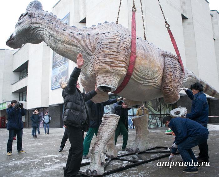 Фото: darwinmuseum.ru