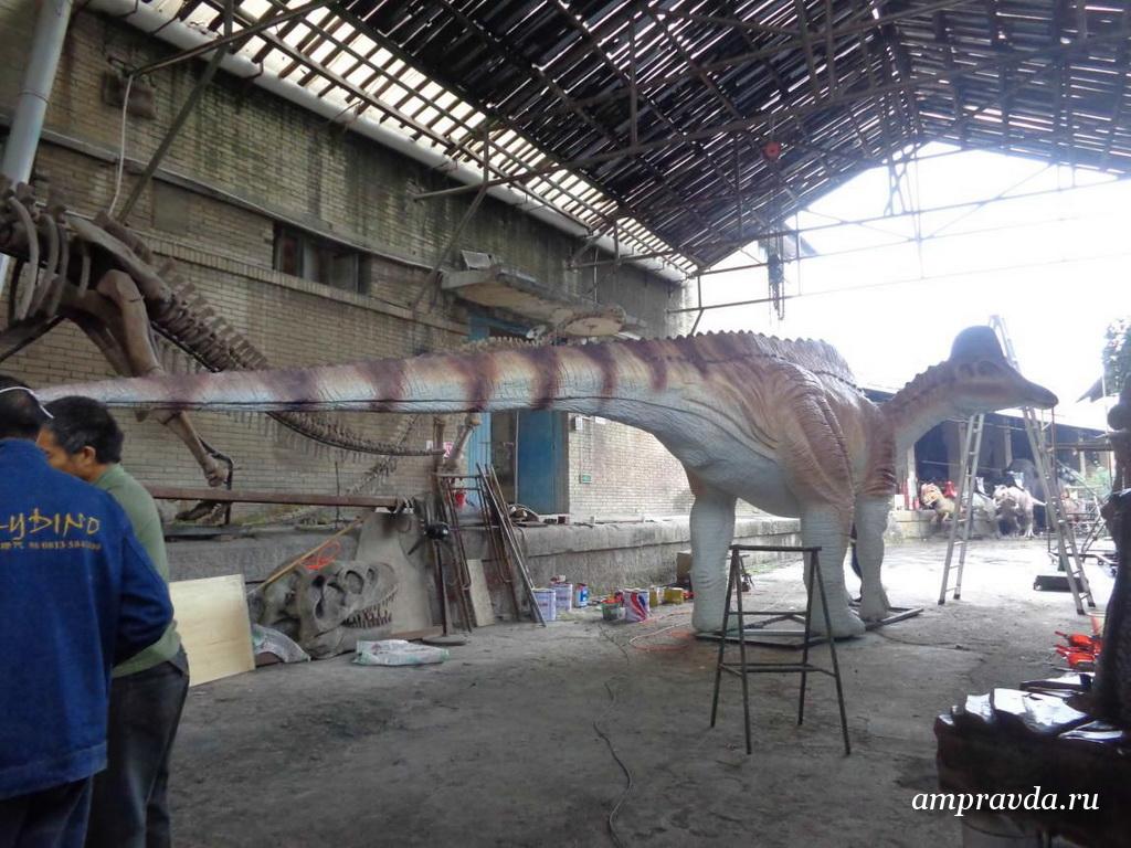 Фото: darwinmuseum.ru