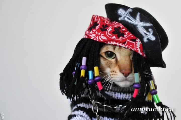 Фото: top.rbc.ru