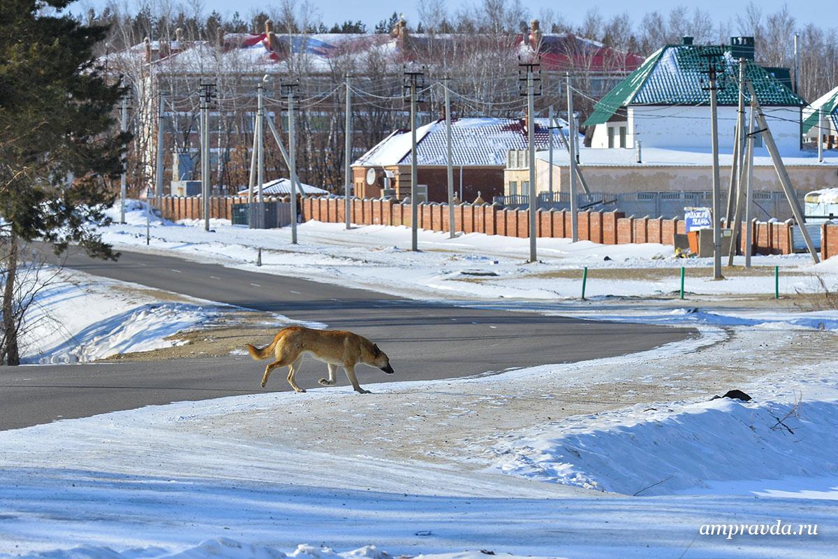 Фото: Андрей Ильинский