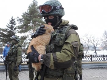 «Вежливые люди» пришли на праздничный концерт в честь Крыма в Благовещенске с котом