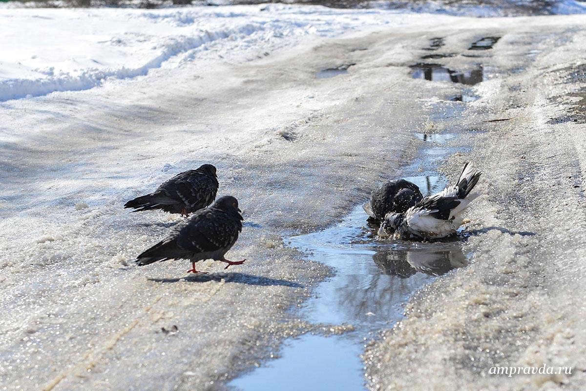 Фото: Андрей Ильинский (архив)