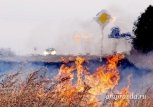 В Приамурье введен особый противопожарный режим и запрещено посещение лесов