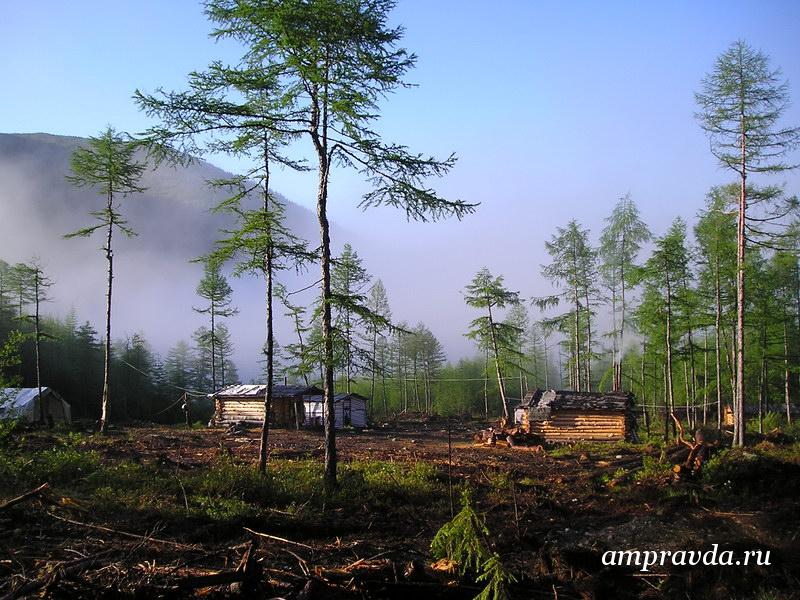 Фото: amurminerals.com