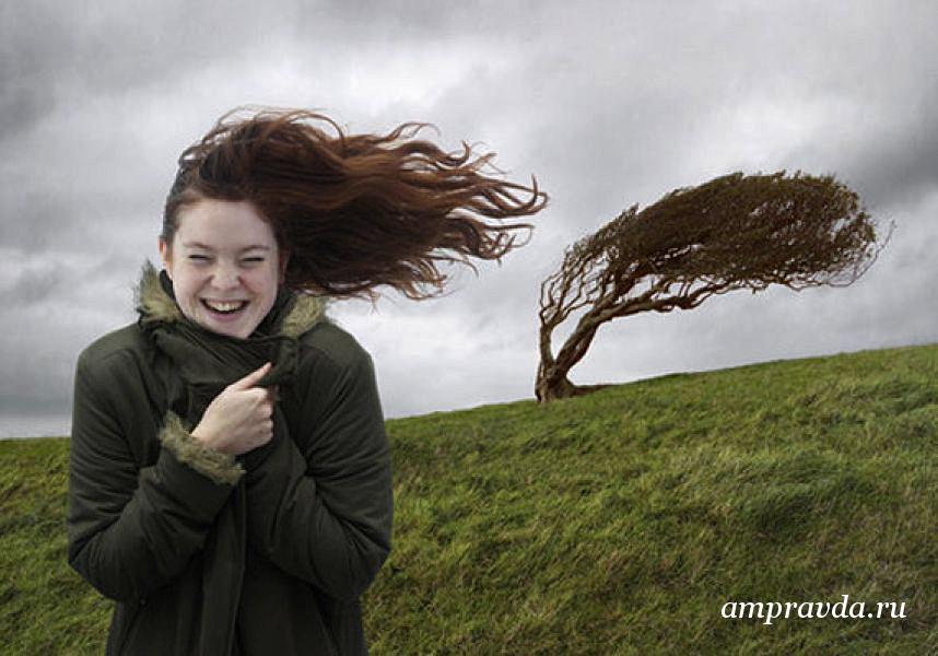 Фото: atvmedia.ru