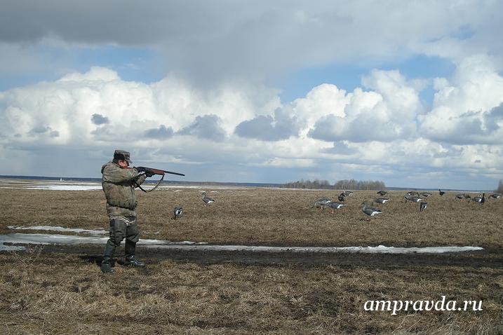 Фото: Архив АП