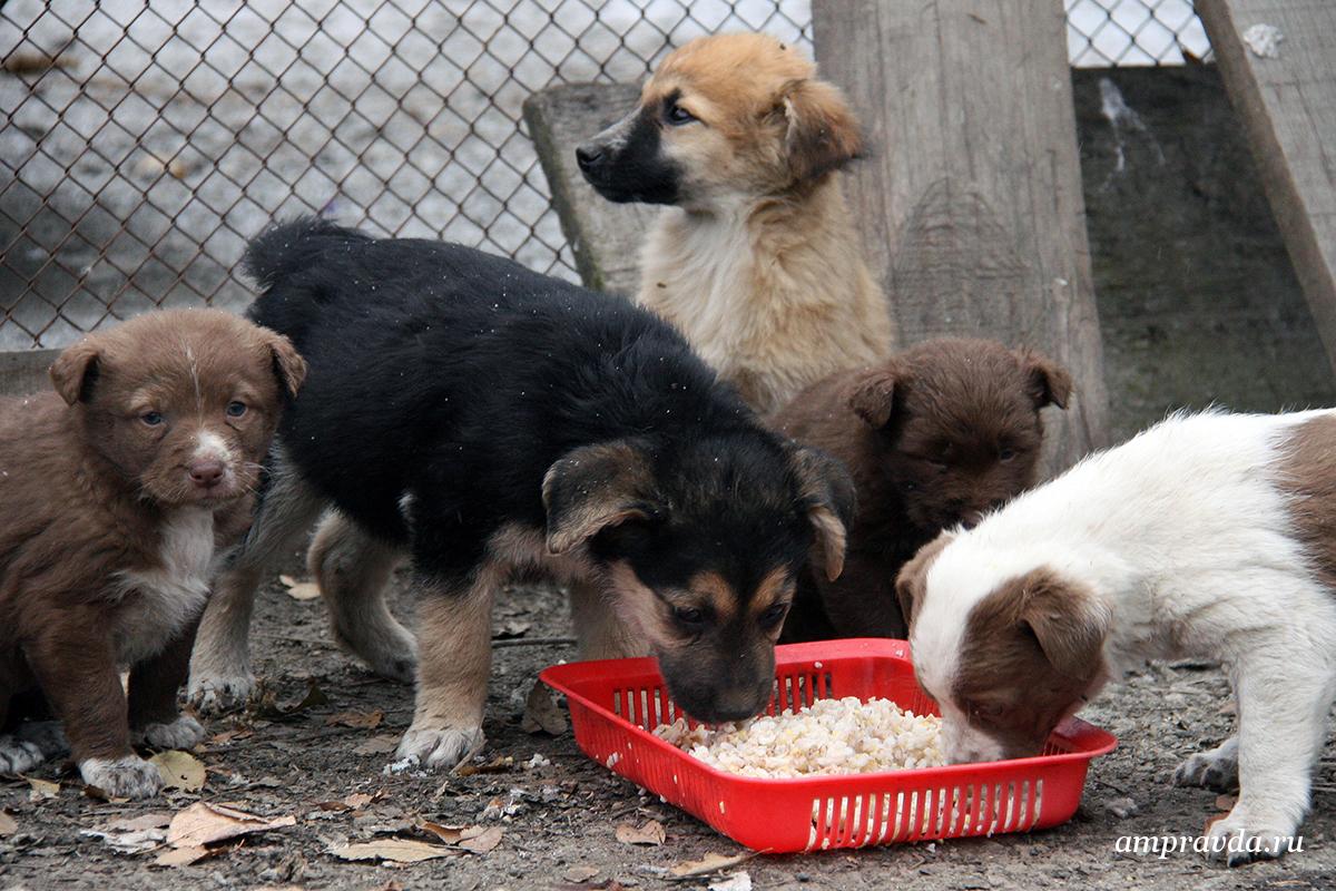 Фото: Архив АП