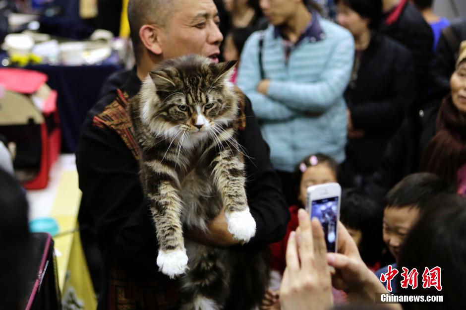 Фото: www.cntv.ru