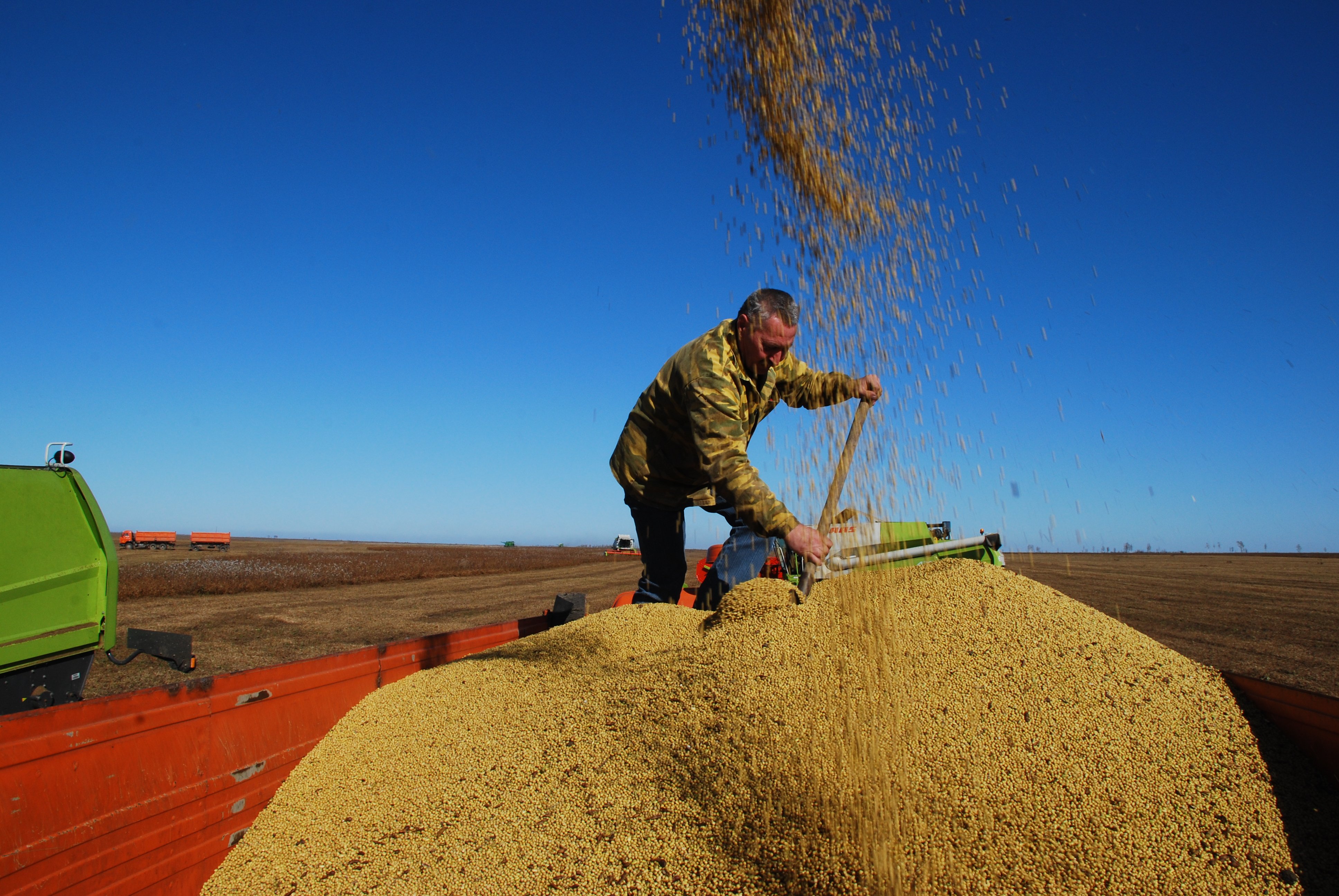 Фото: Андрей Анохин (архив)
