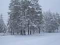 Север Амурской области на майские праздники засыпало снегом