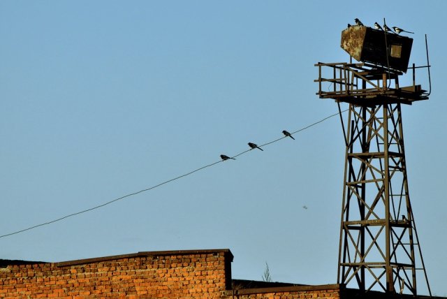 Фото: Архив АП