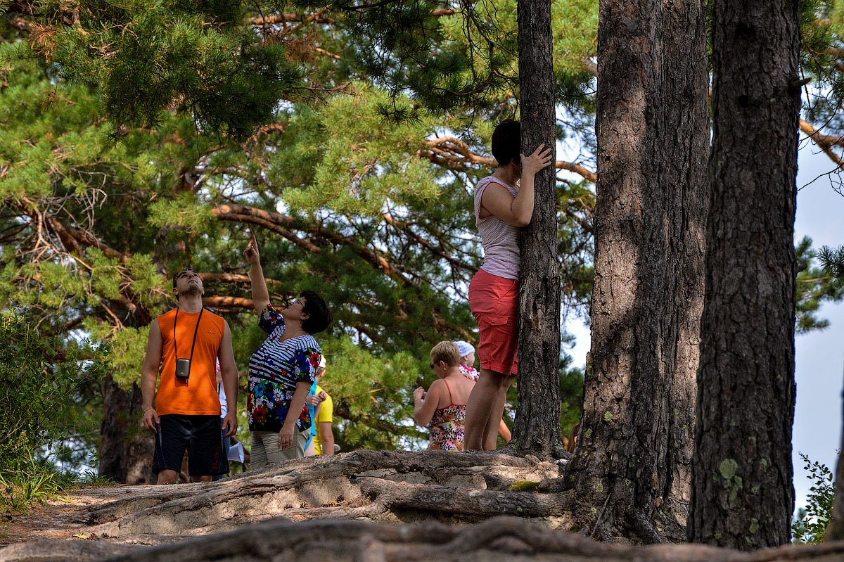 В мае и июне численность клещей достигает максимума. Фото: Архив АП
