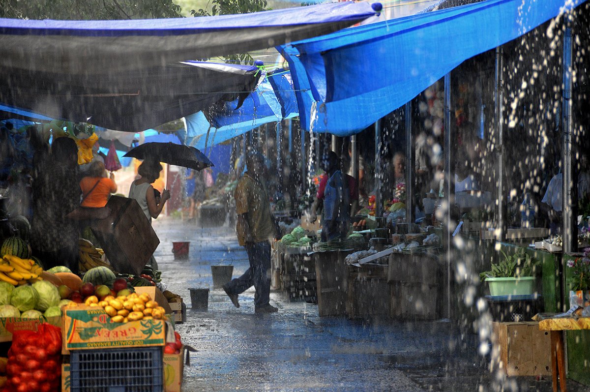 Фото: Архив АП