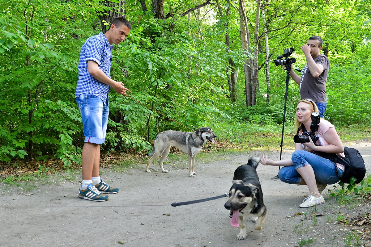 Фото: Андрей Ильинский