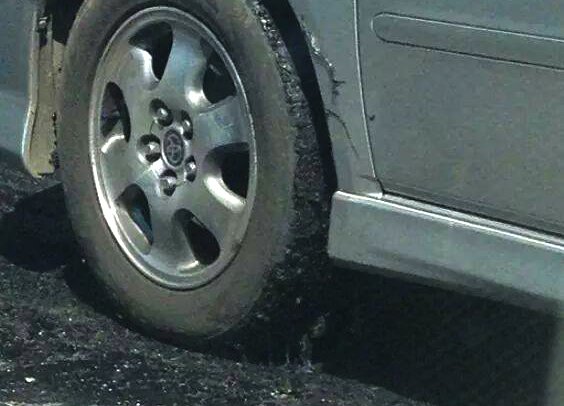 Фото: Макс Радман