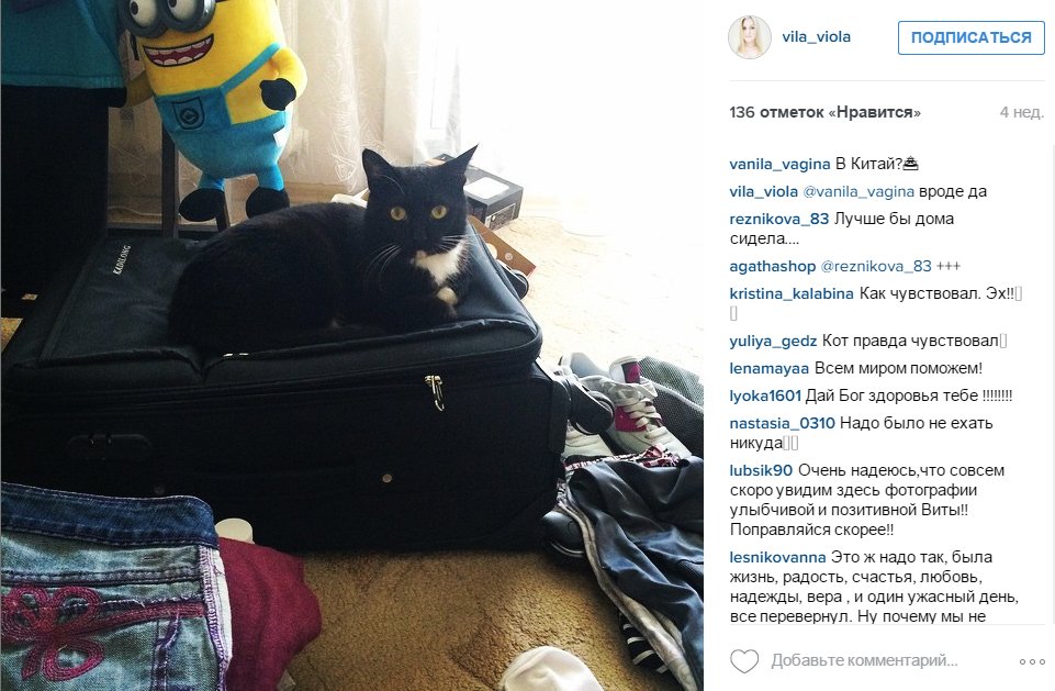 Кот Матисс как будто предчувствовал беду.