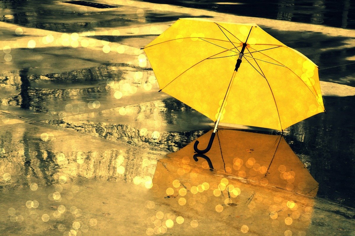 Фото: