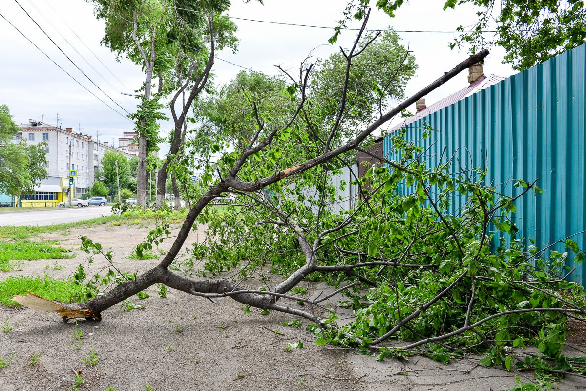 Фото: Андрей Ильинский