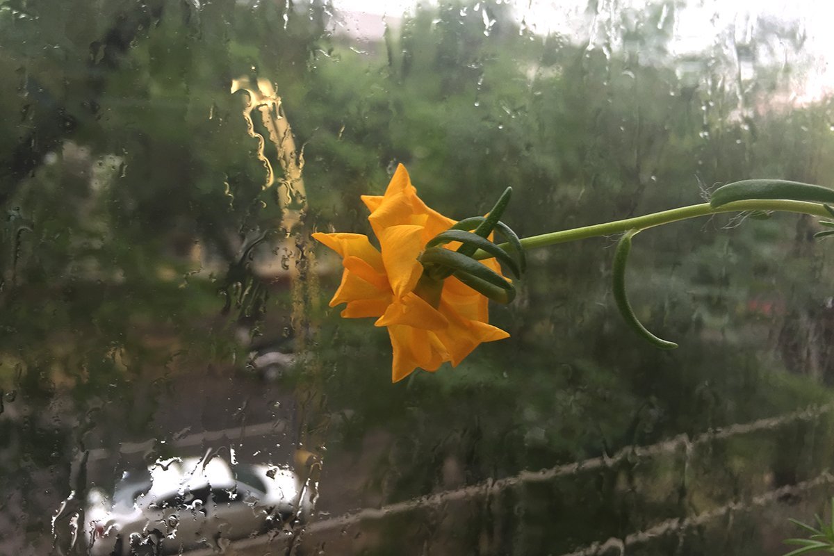 Фото: Марина Москалюк