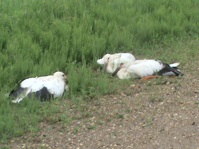 Конкурсы для природы с водой Конкурсы для природы с водой